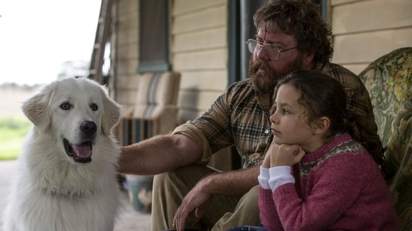 Photo from the movie Oddball