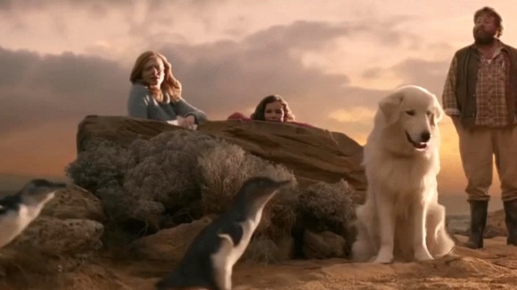 Photo from the movie Oddball