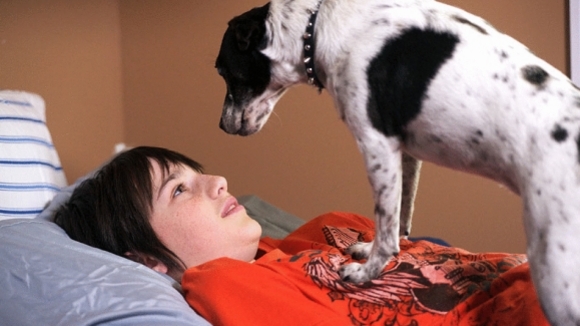 Photo du film Vampire Dog