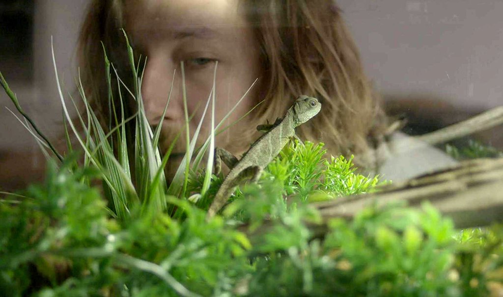 Photo du film Impetus