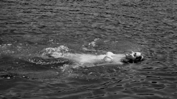 Photo du film L'étrange créature du Lac Noir