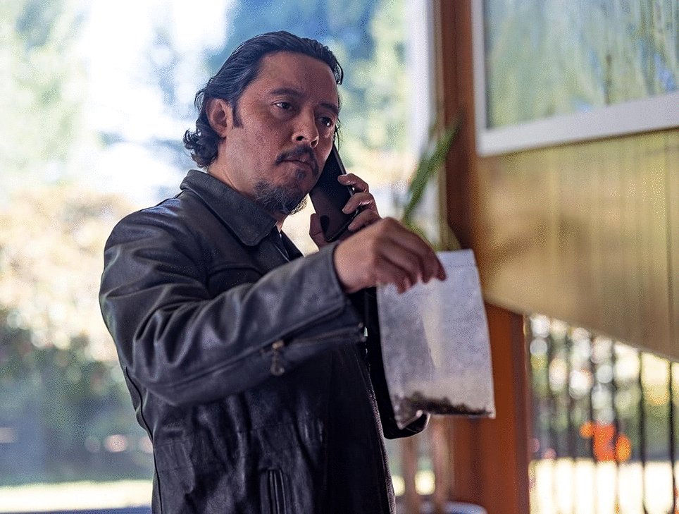 Photo du film Due Justice