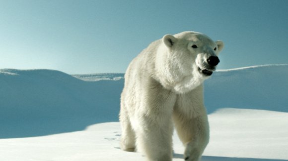 Photo from the movie Two Lovers and a Bear