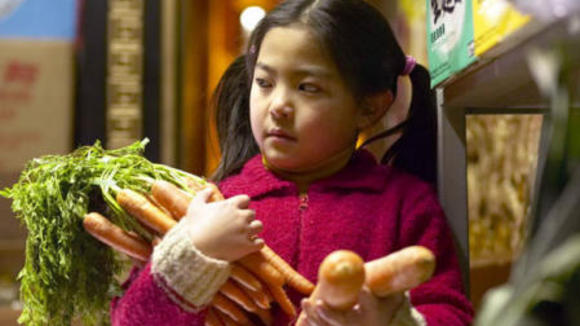 Photo du film Le Cheval de Saint-Nicolas