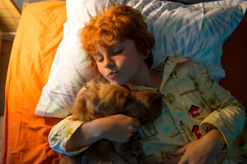 Photo from the movie Boule & Bill 2