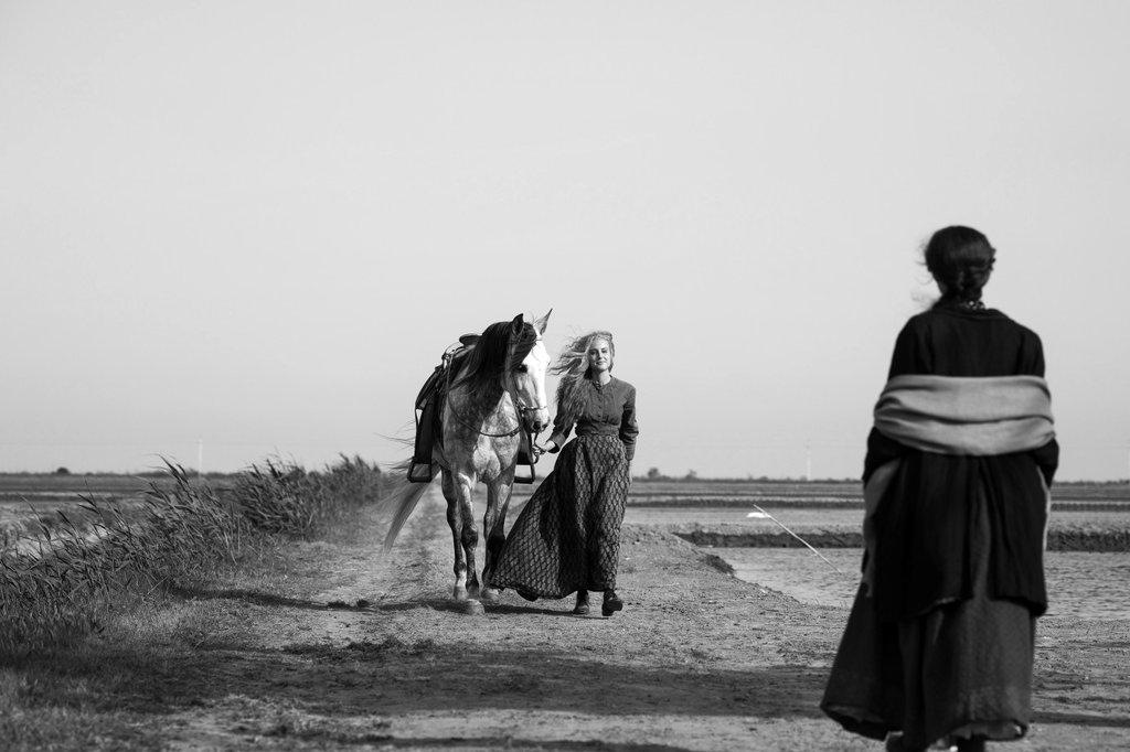 Photo du film Elisa y Marcela