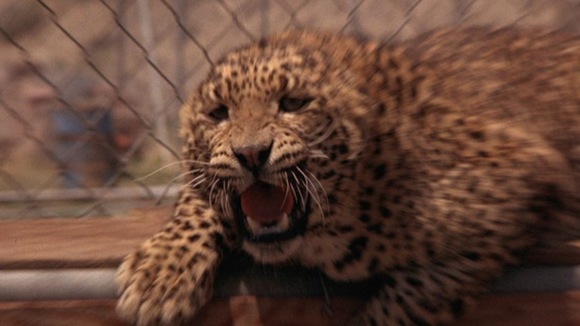 Photo from the movie Exorcist II: The Heretic