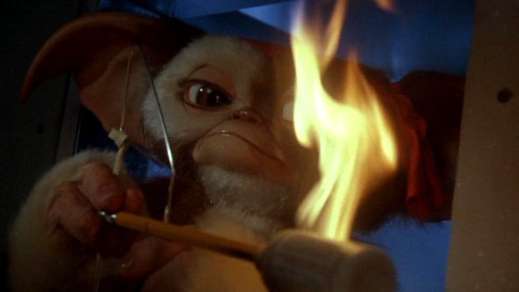 Photo du film Gremlins 2: La nouvelle génération