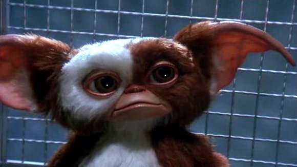 Photo du film Gremlins 2: La nouvelle génération