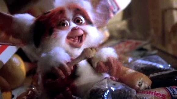 Photo du film Gremlins 2: La nouvelle génération