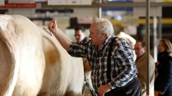 Photo du film Saint Amour