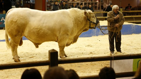 Photo du film Saint Amour