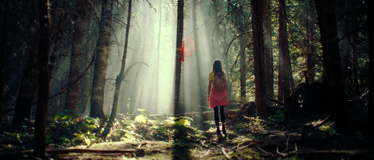 Photo du film Kryptic