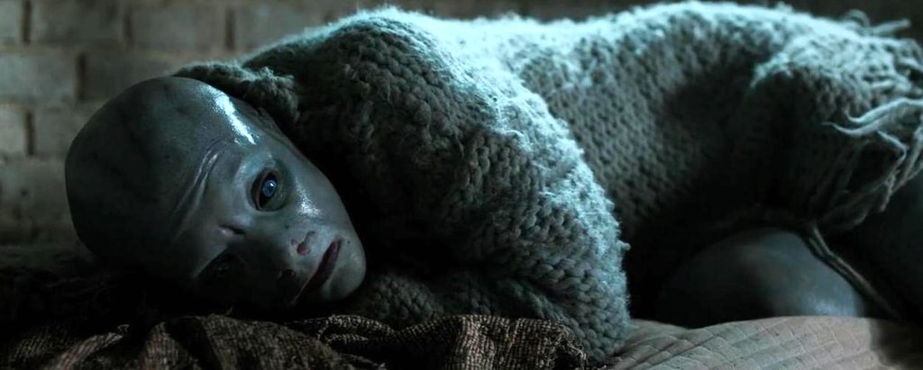 Photo du film La Peau froide