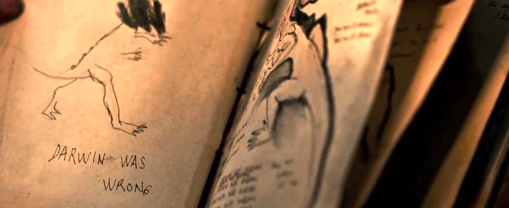 Photo du film La Peau froide