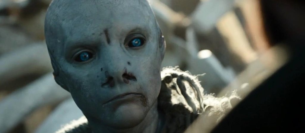 Photo du film La Peau froide