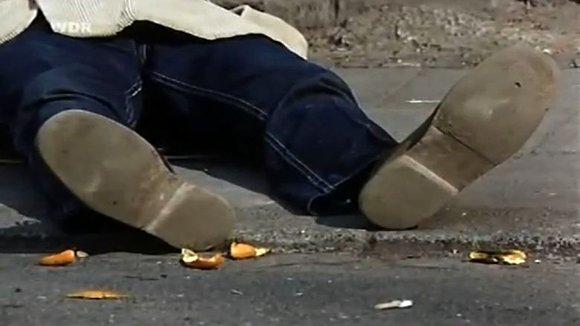 Photo du film Dead Pigeon on Beethoven Street