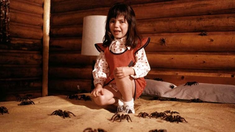 Photo du film Kingdom of the Spiders