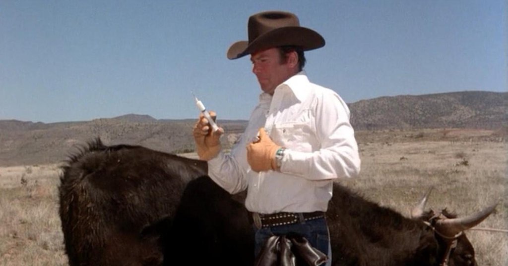 Photo du film Kingdom of the Spiders