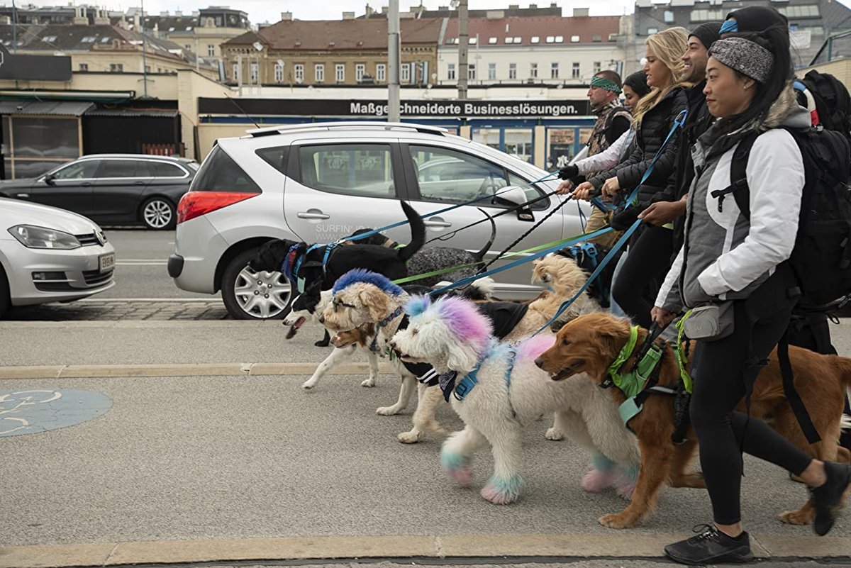 Photo du film The Pack