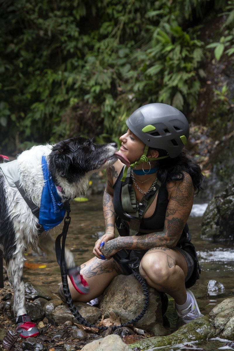 Photo du film The Pack