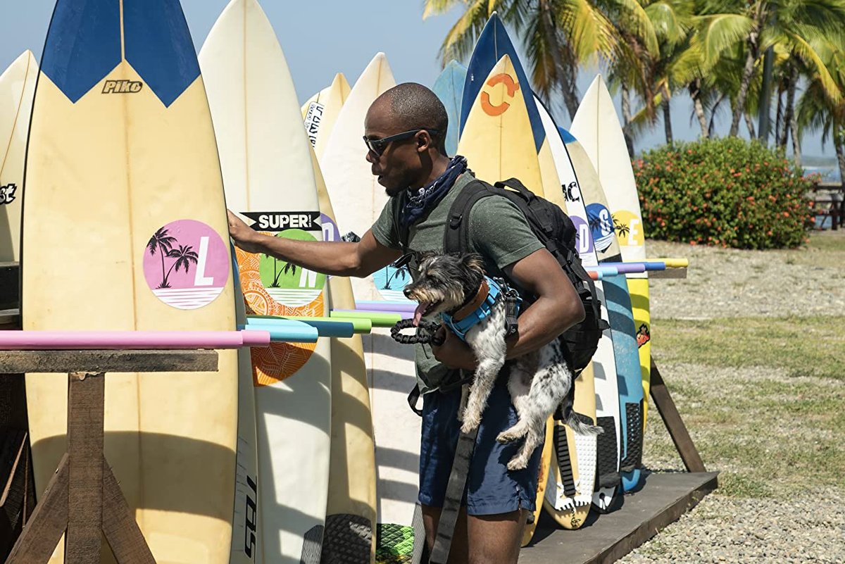 Photo du film The Pack