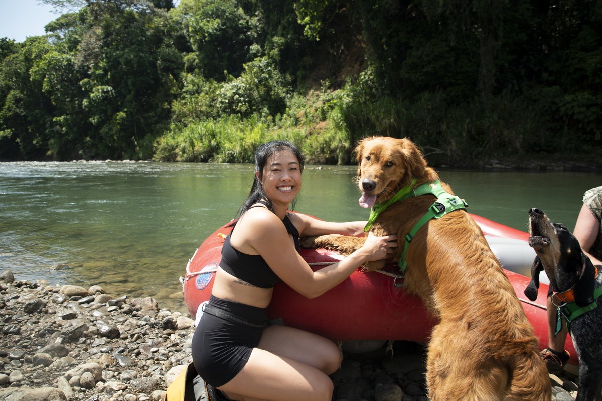 Photo du film The Pack