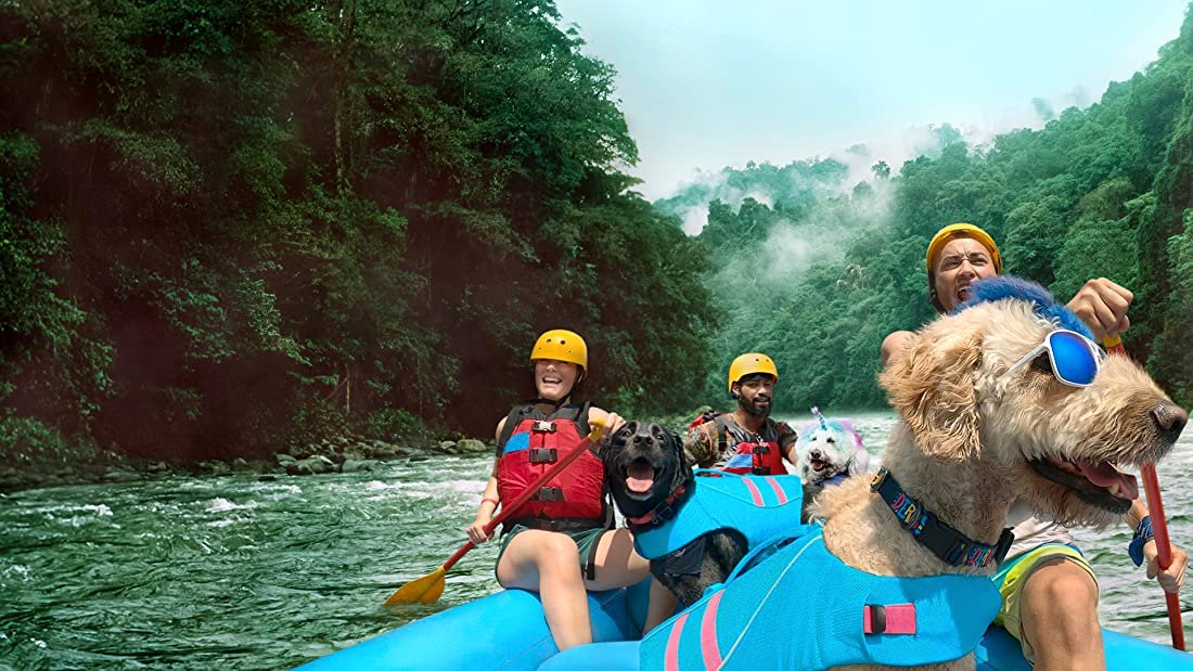 Photo du film The Pack