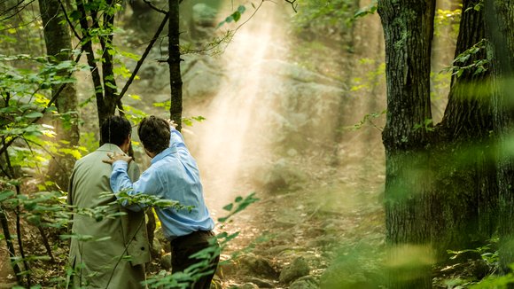 Photo du film The Sea of Trees