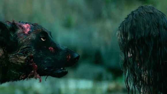 Photo du film Cabin Fever