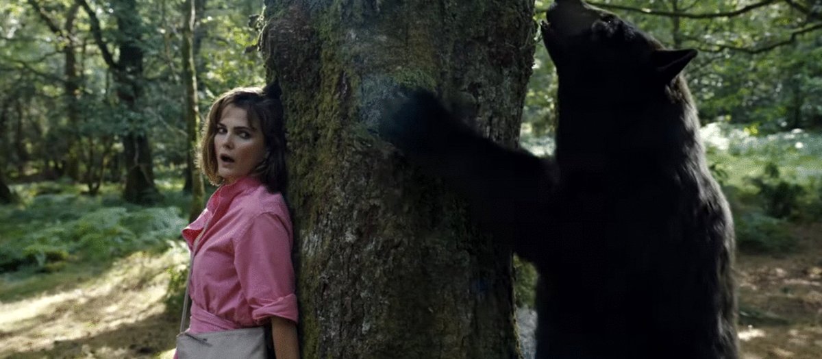 Photo du film Ours sous cocaine