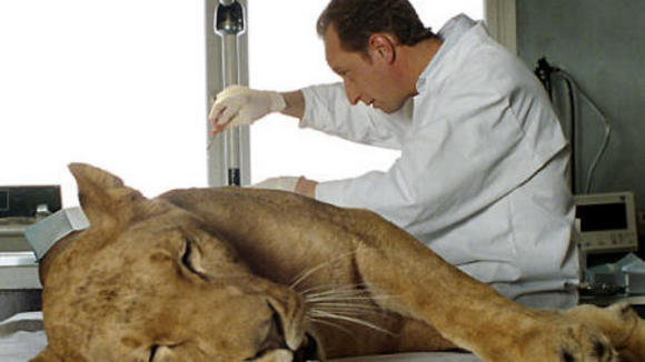 Photo from the movie In His Hands