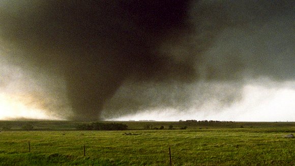Photo du film Forces de la nature