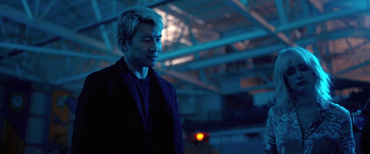 Photo du film Simulant