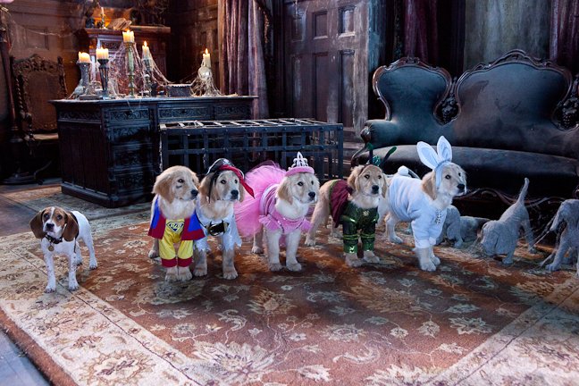 Photo du film Spooky Buddies