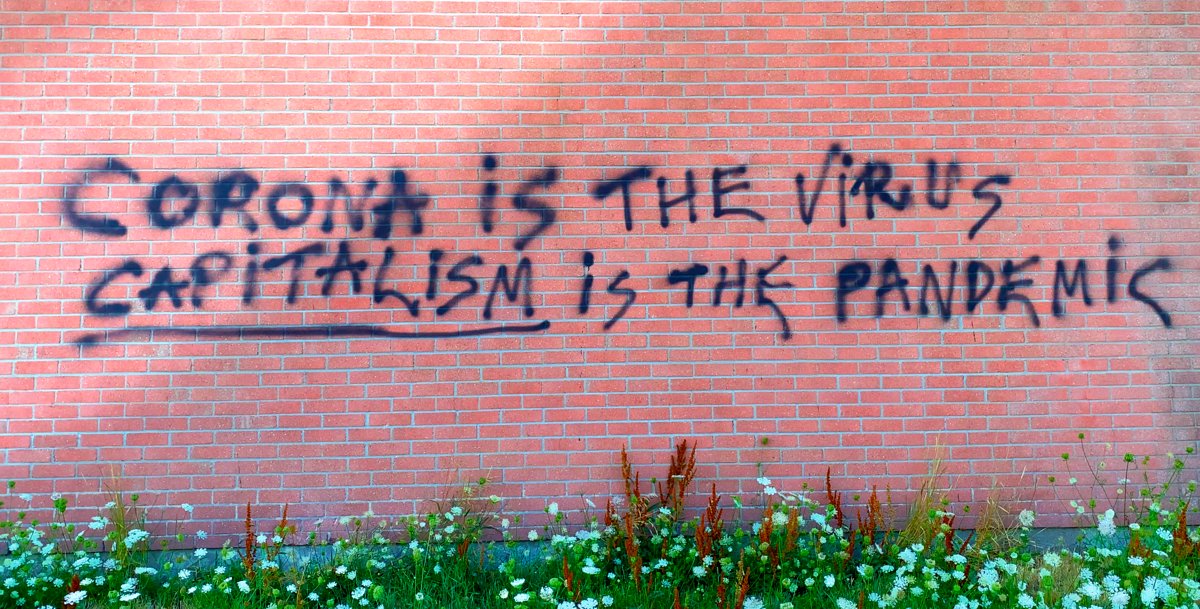 Photo du film The New Corporation: The Unfortunately Necessary Sequel