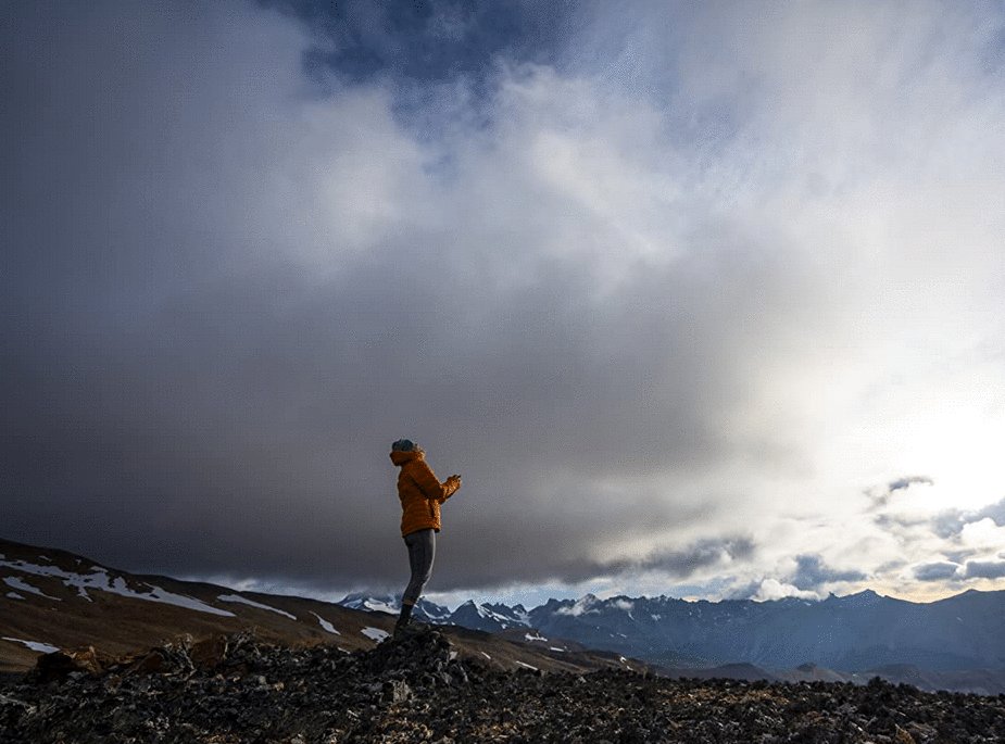 Photo from the movie Wild Life