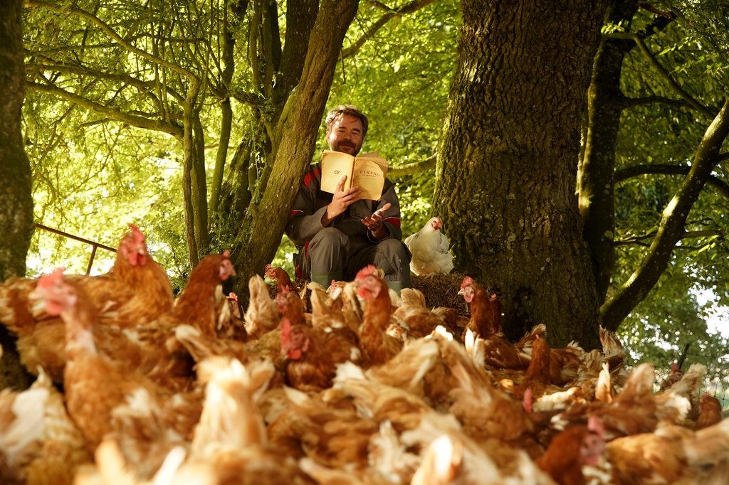 Photo du film Roxane