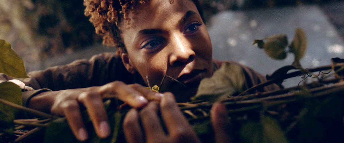 Photo du film Ten-Cent Daisy