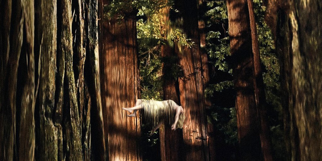 Photo du film Woodshock