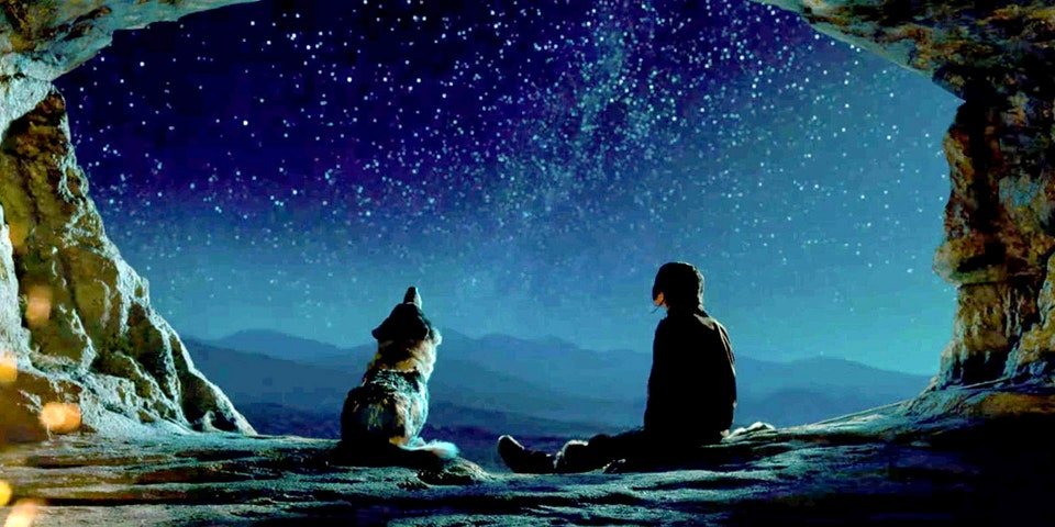 Photo du film Alpha v.f.