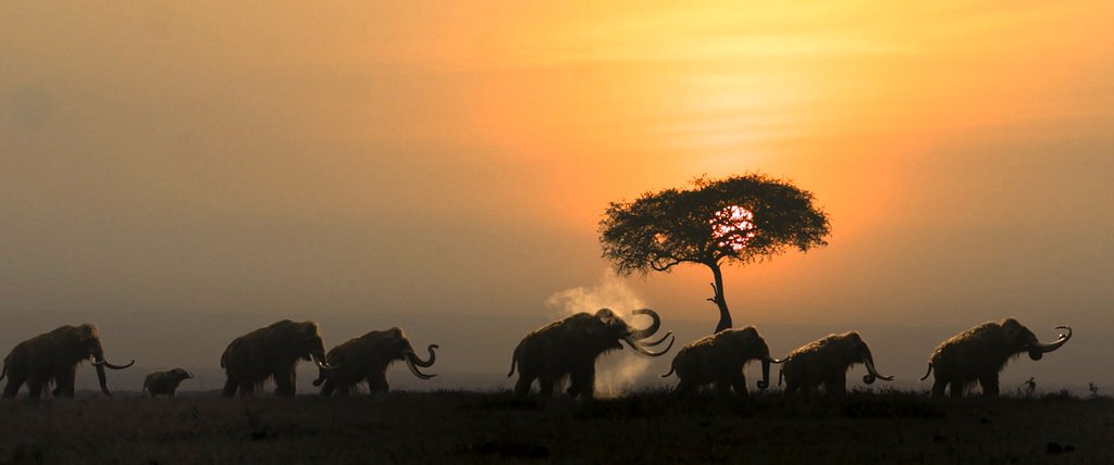 Photo du film Alpha v.f.