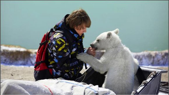 Photo du film The Journey Home