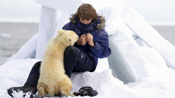 Photo du film The Journey Home