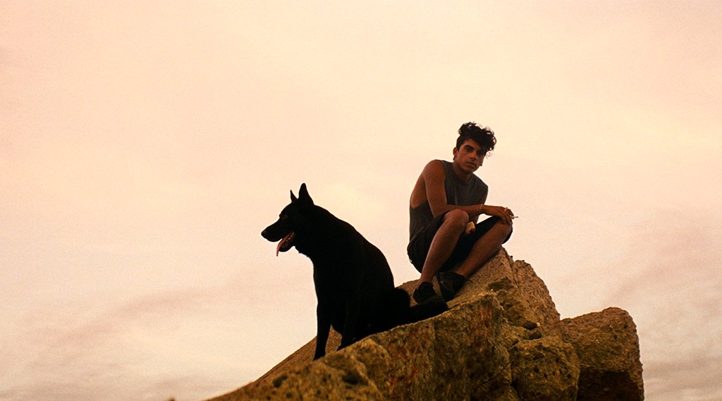 Photo from the movie Ava