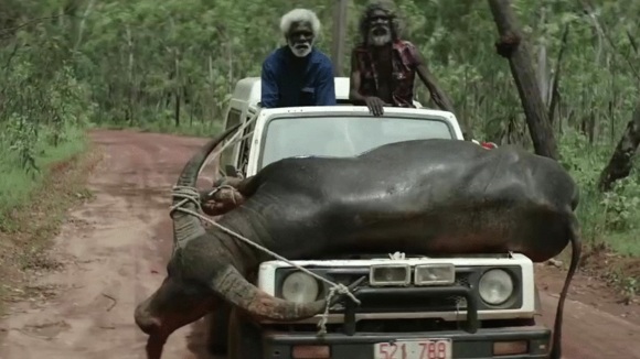 Photo du film Charlie's Country