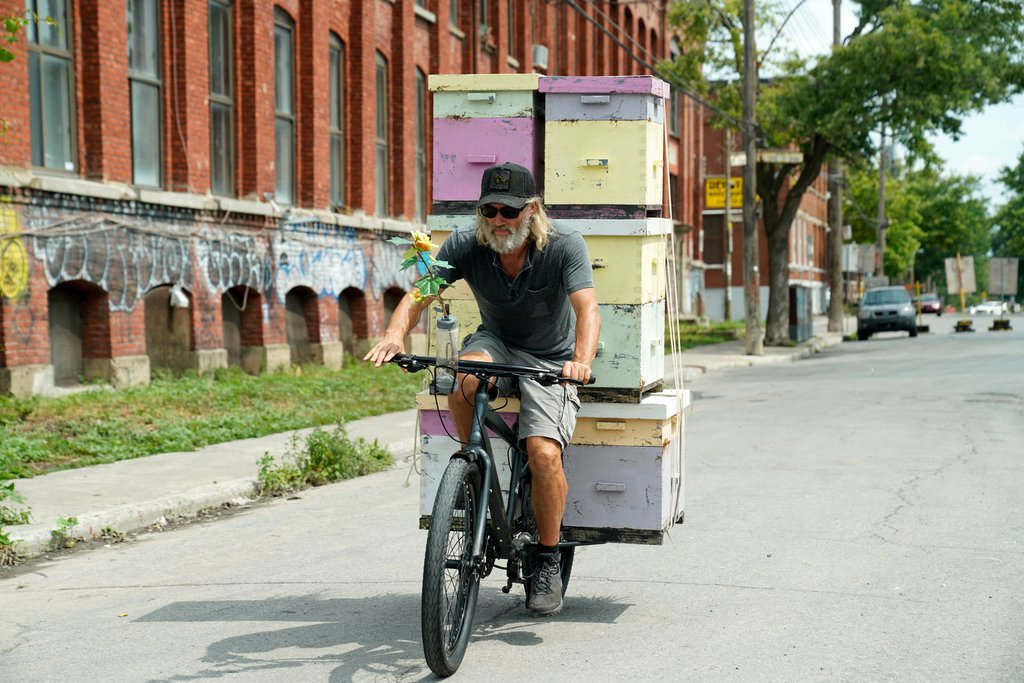 Photo from the movie Forgotten Flowers