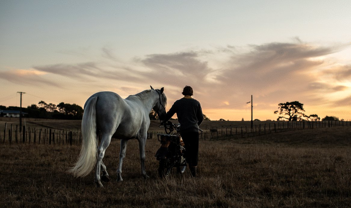 Photo from the movie Juniper