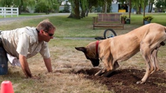 Photo du film Marmaduke v.f.