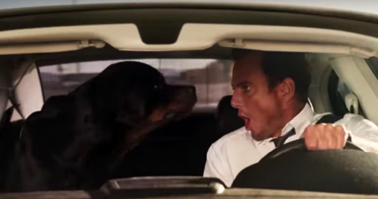 Photo du film Chiens sous enquête